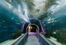 Tavaszi szünet a családdal? Három belföldi úti cél, ahol a kaland és a nyugodt pihenés kéz a kézben jár