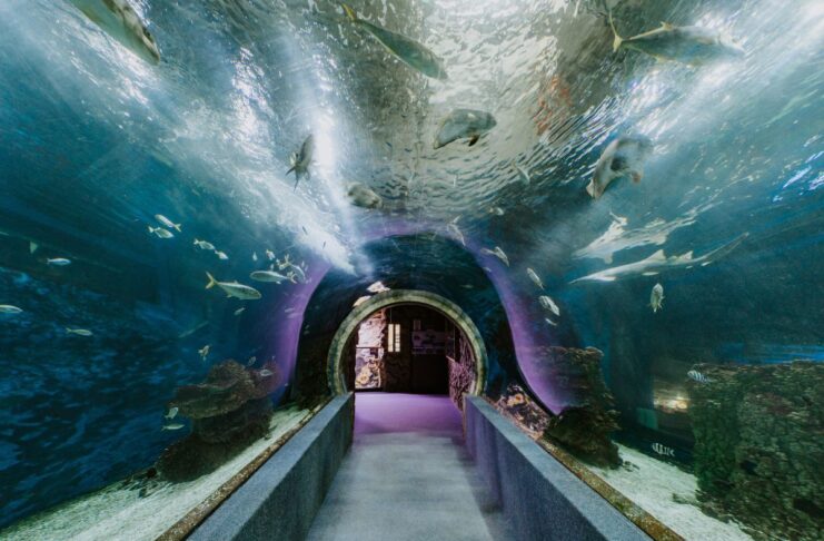 Tavaszi szünet a családdal? Három belföldi úti cél, ahol a kaland és a nyugodt pihenés kéz a kézben jár